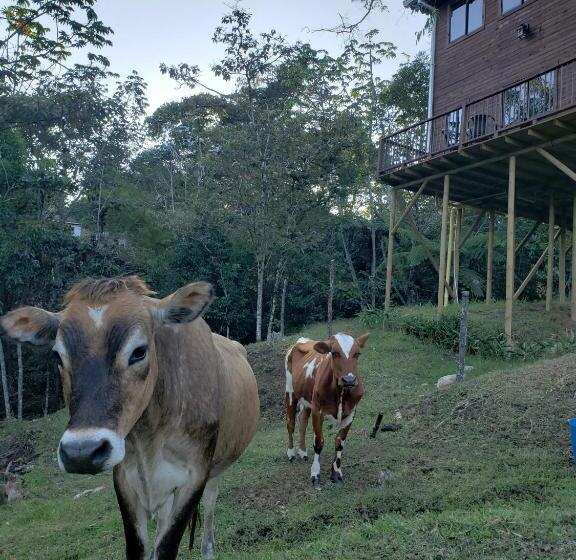 אתר נופש La Zenerchi