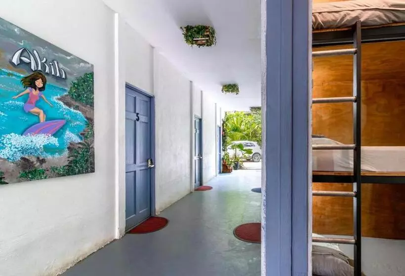 Akih Pods Hostel