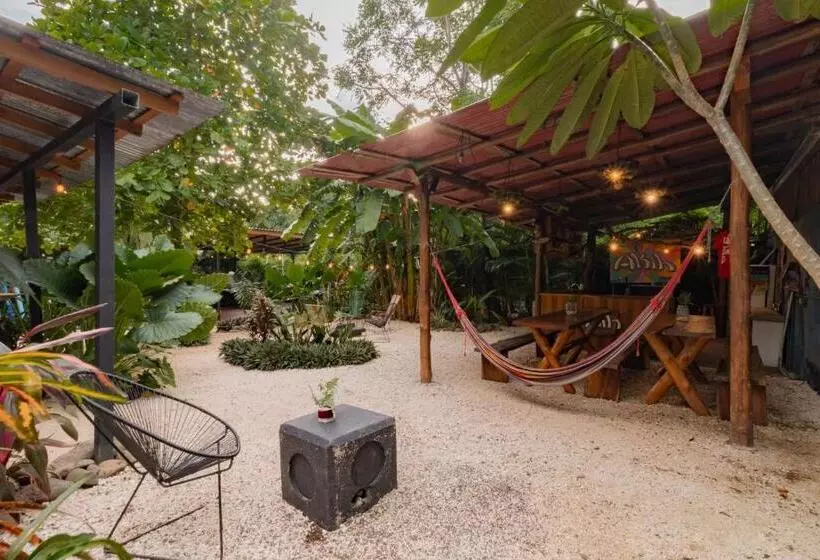 Akih Pods Hostel