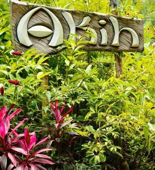 Akih Pods Hostel