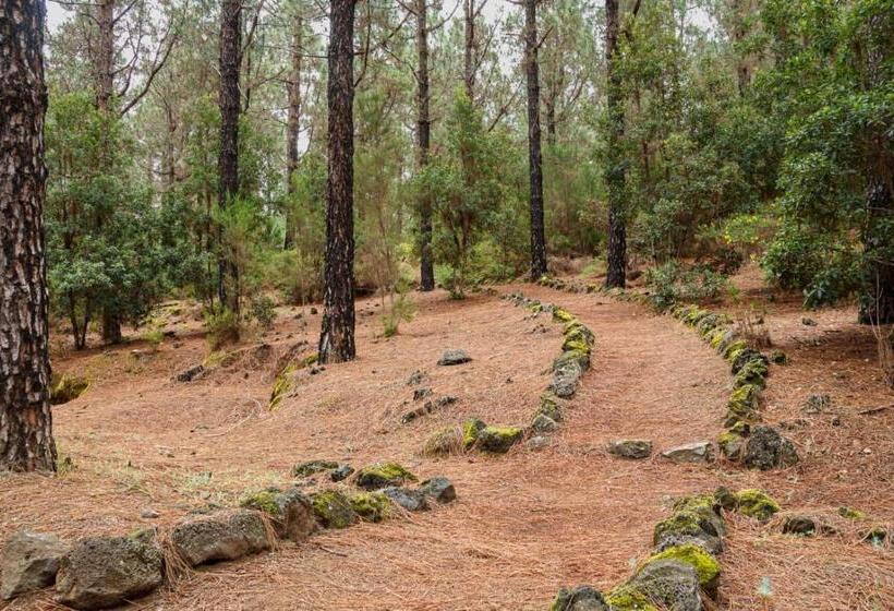 Albergue San Jose De Los Llanos