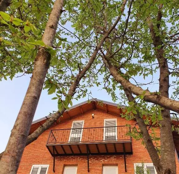 پانسیون Borealis Guest House