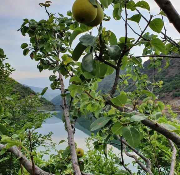 Pensione Borealis Guest House