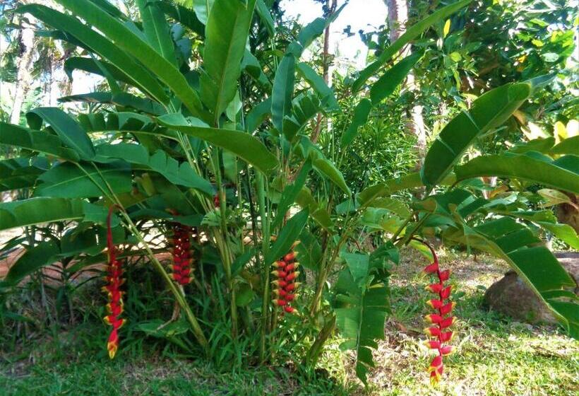 펜션 New Holiday Reach