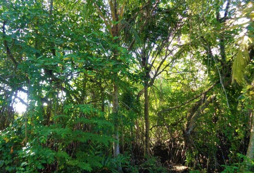 펜션 New Holiday Reach