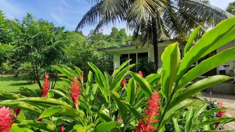 펜션 New Holiday Reach