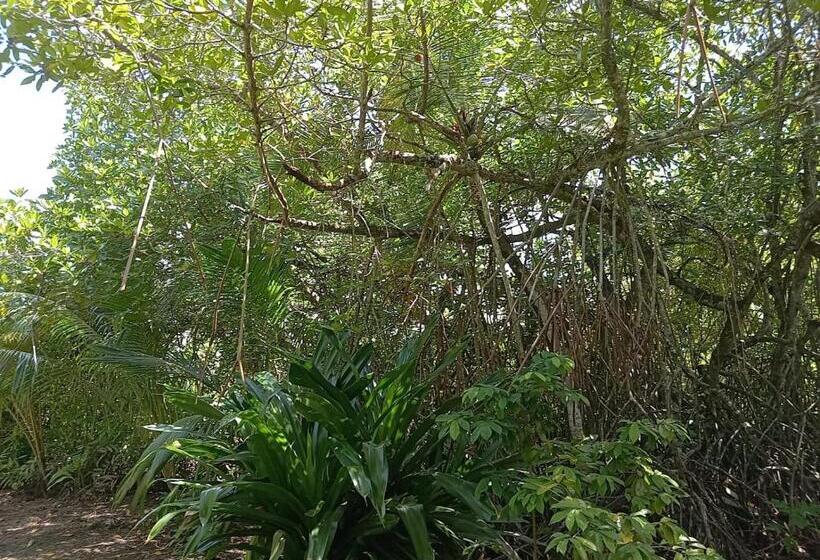 펜션 New Holiday Reach