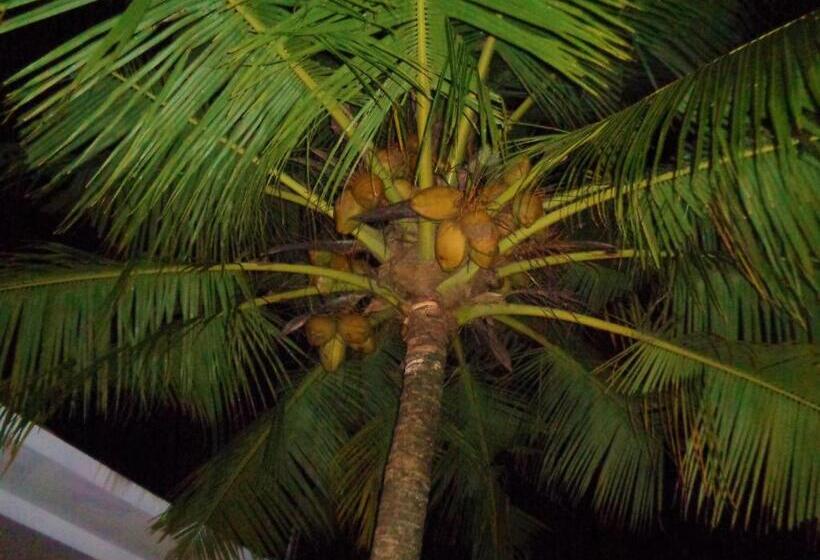 펜션 New Holiday Reach