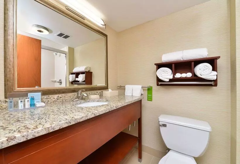 Отель Hampton Inn Detroit/auburn Hills South