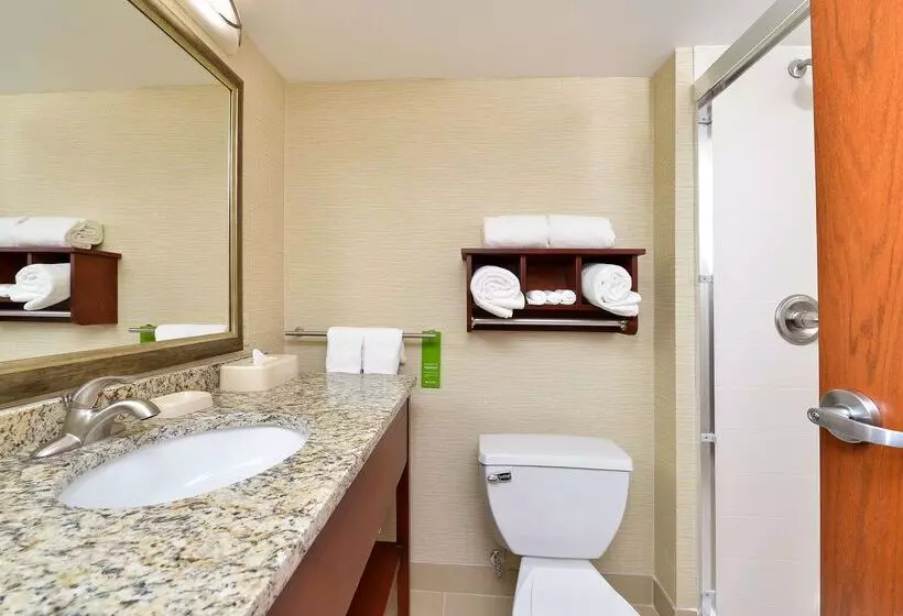 Отель Hampton Inn Detroit/auburn Hills South