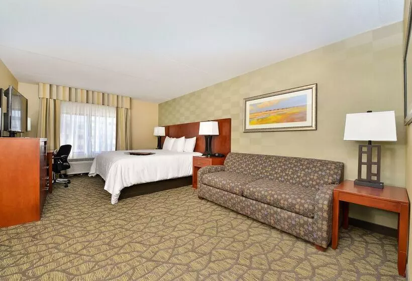 Отель Hampton Inn Detroit/auburn Hills South