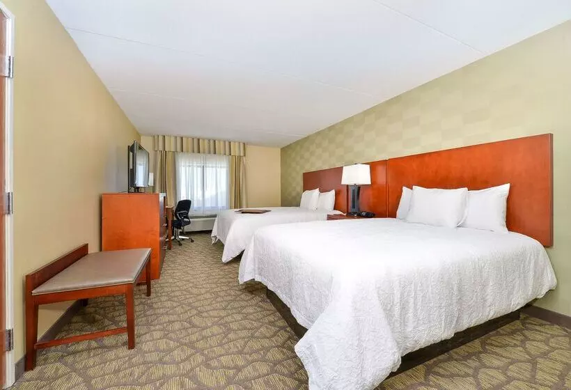 Отель Hampton Inn Detroit/auburn Hills South