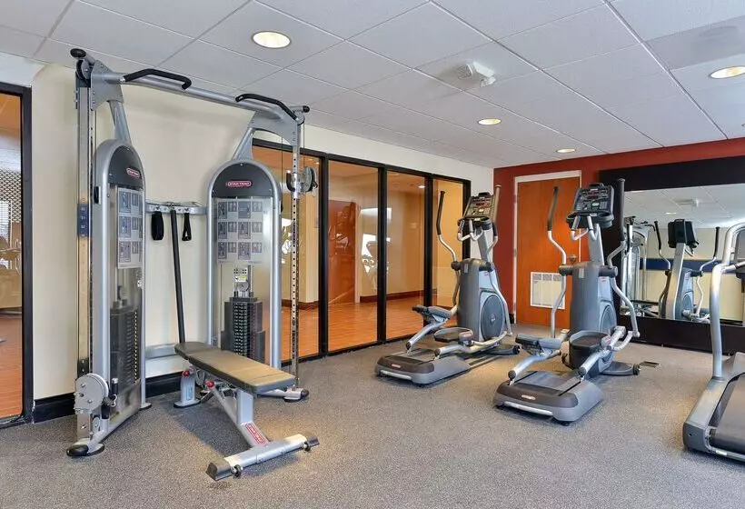 Отель Hampton Inn Detroit/auburn Hills South