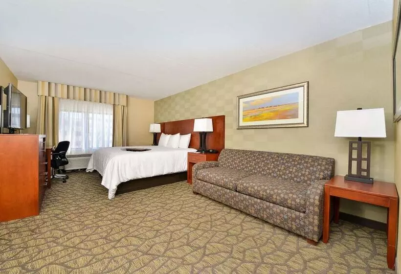 Отель Hampton Inn Detroit/auburn Hills South