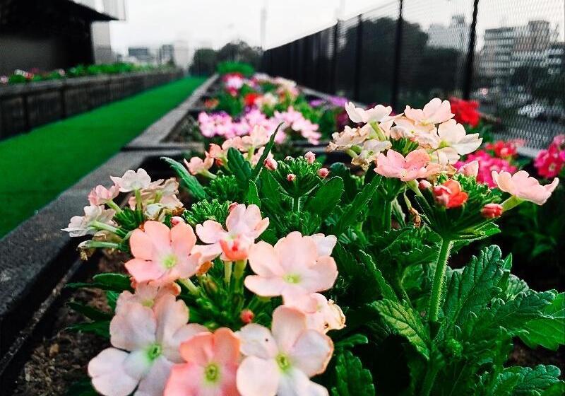 Bth Hotel – Boutique Concept