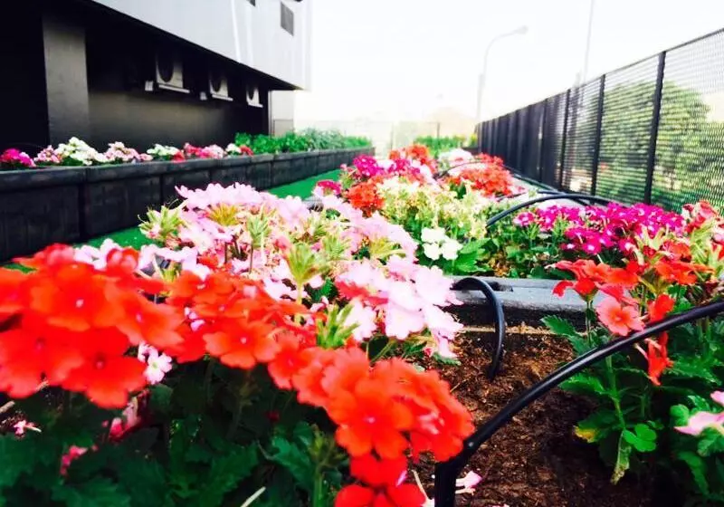 Bth Hotel – Boutique Concept