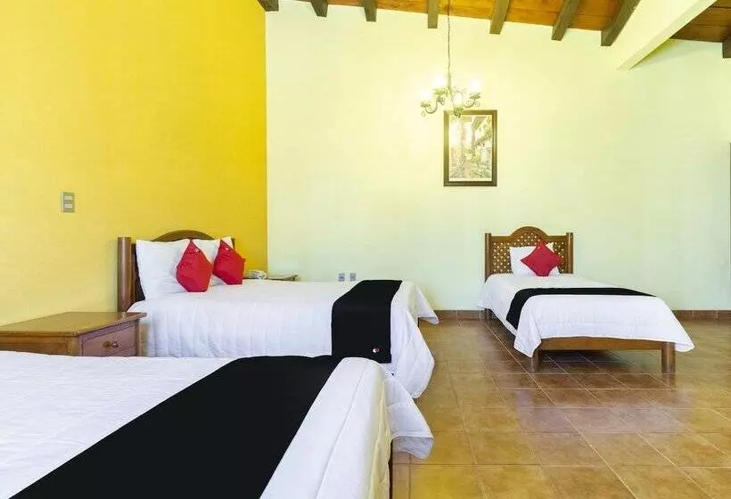 ホテル Jardín De Tereza