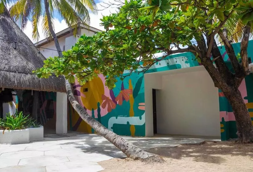 Retkeilymaja Nílu Isla Mujeres by Selina