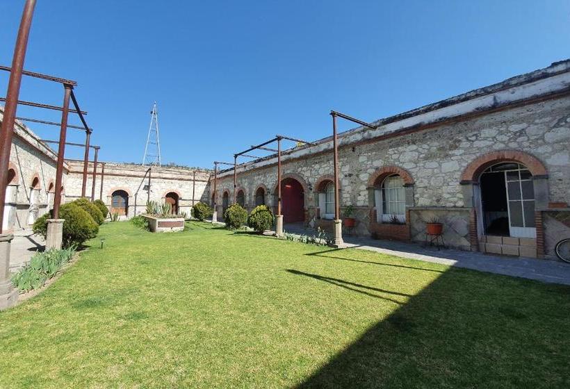 Отель Hacienda Tecoac