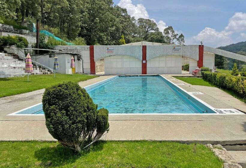 فندق Chinguirito