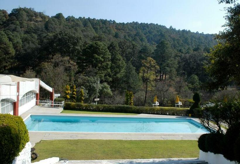 فندق Chinguirito