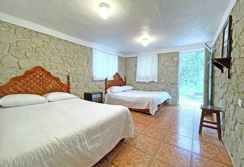 فندق Chinguirito