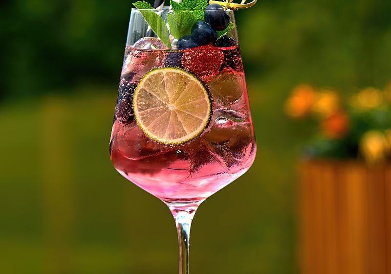 هتل Tetřeví Boudy