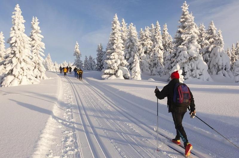 هتل Tetřeví Boudy