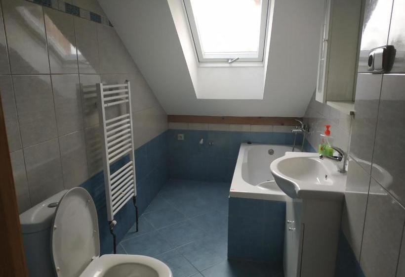 פנסיון Penzion U Heřmánků Volary