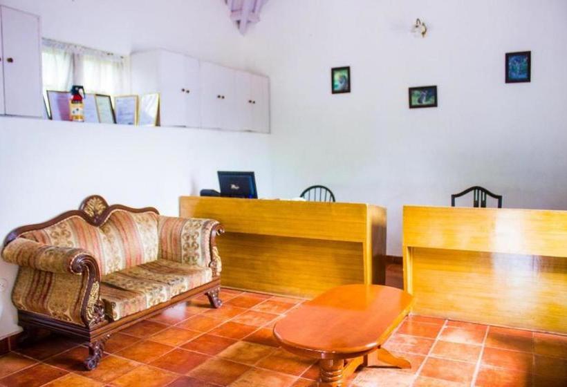 הוסטל Mystique Ville