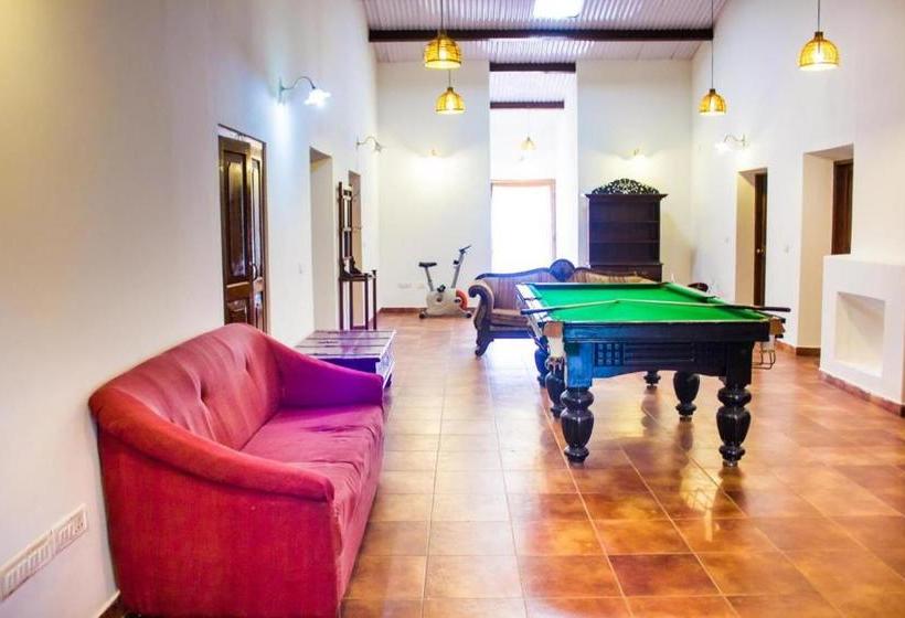 הוסטל Mystique Ville