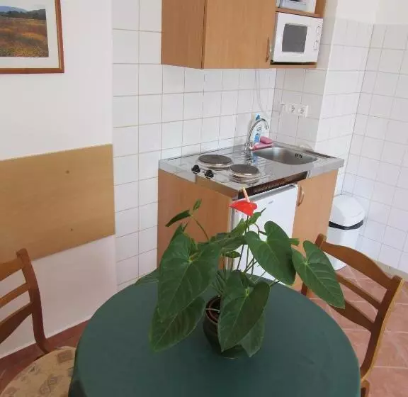 پانسیون Süle Apartments & Rooms