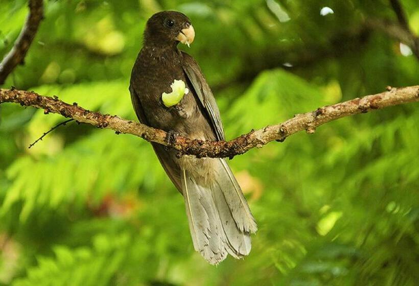 هتل Coco Bay Villa