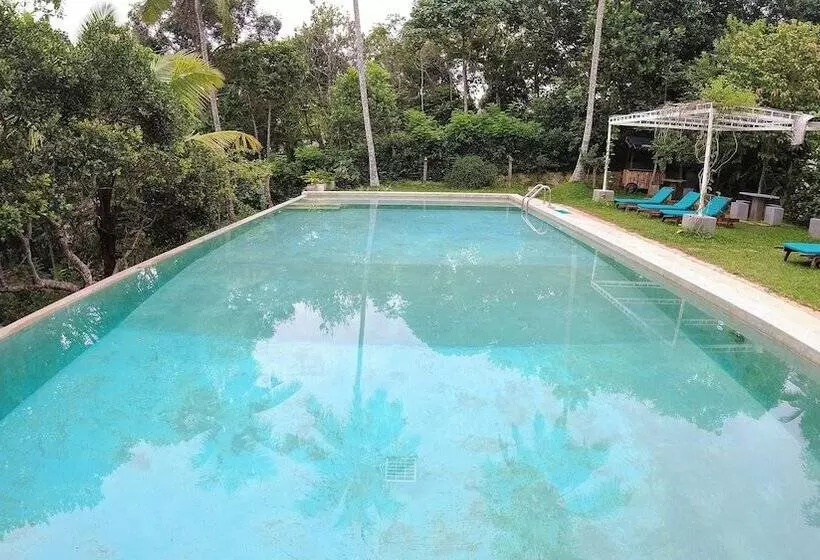 Hôtel Esprit Dici - Mirissa