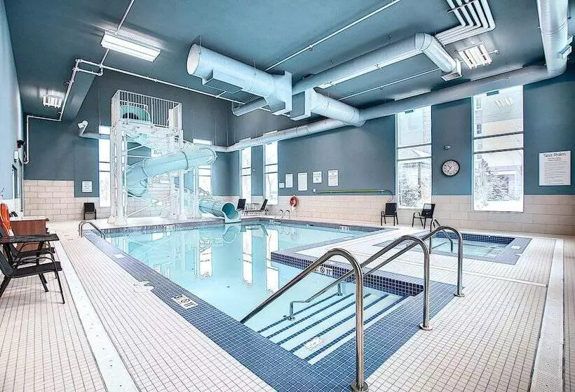 ホテル Holiday Inn Express & Suites   Calgary Airport Trail Ne, An Ihg