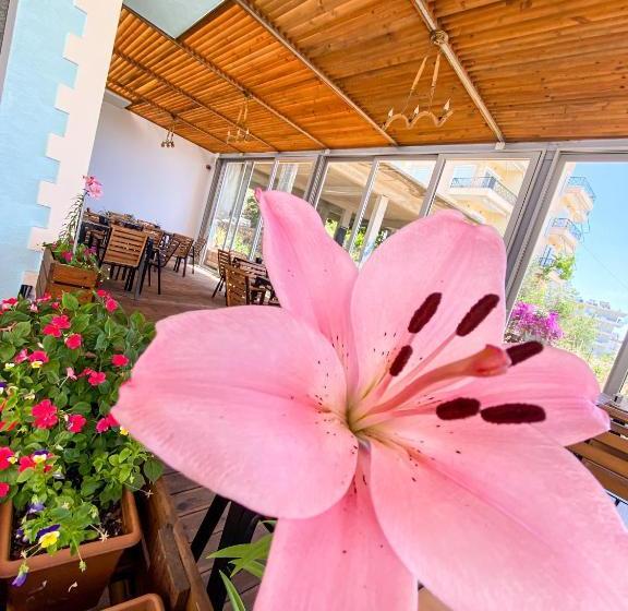 پانسیون Abedini