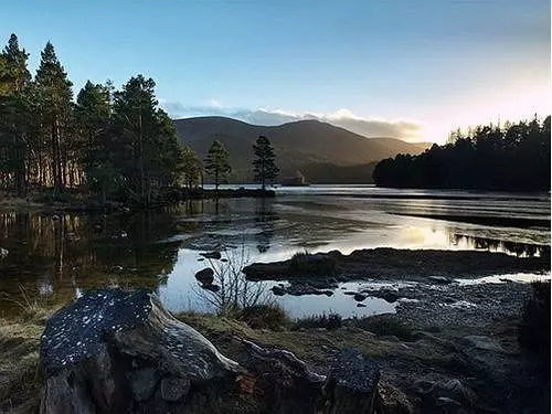 בית מלון כפרי Arden House