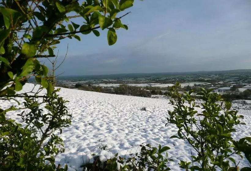 Отель Golden Hill Guest House