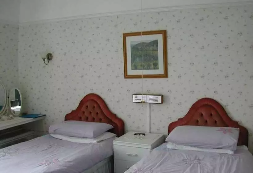 فندق Neuadd Arms