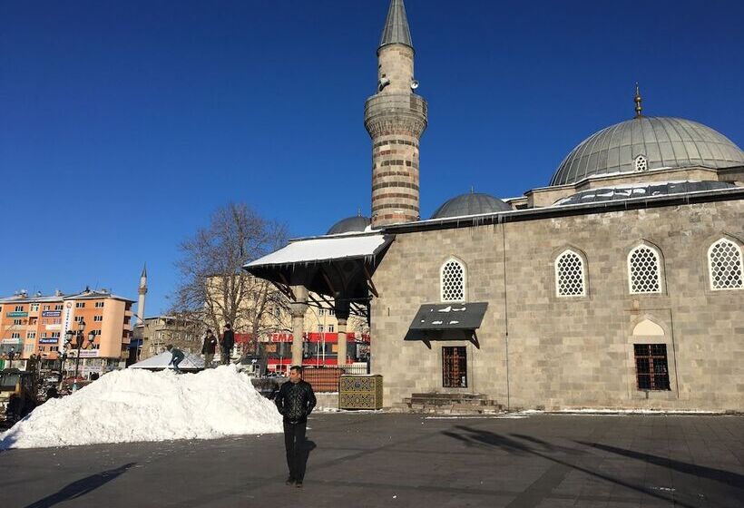 Отель Buyuk Akcay