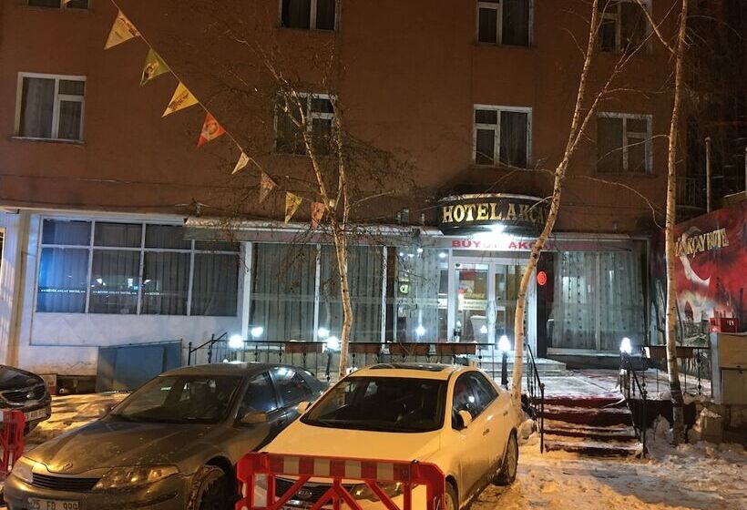 Отель Buyuk Akcay