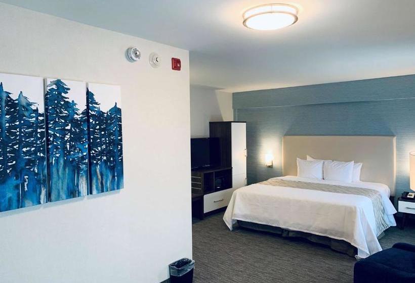 هتل Chandni Victoria; Bw Signature Collection