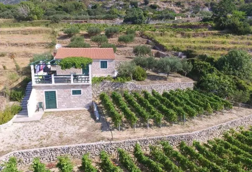 House Mate