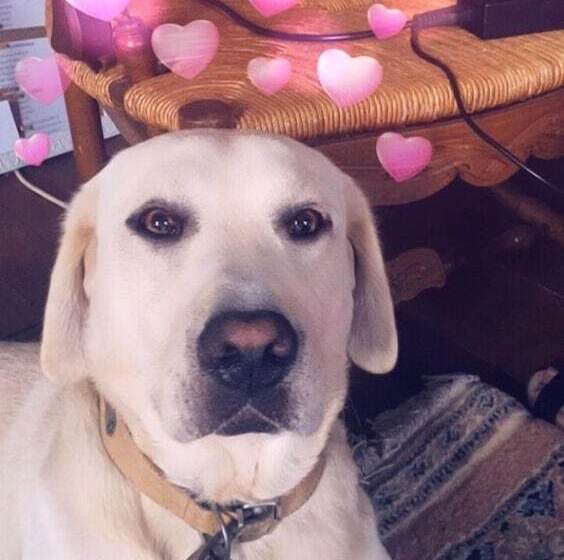 住宿加早餐 Château De Belle Vue