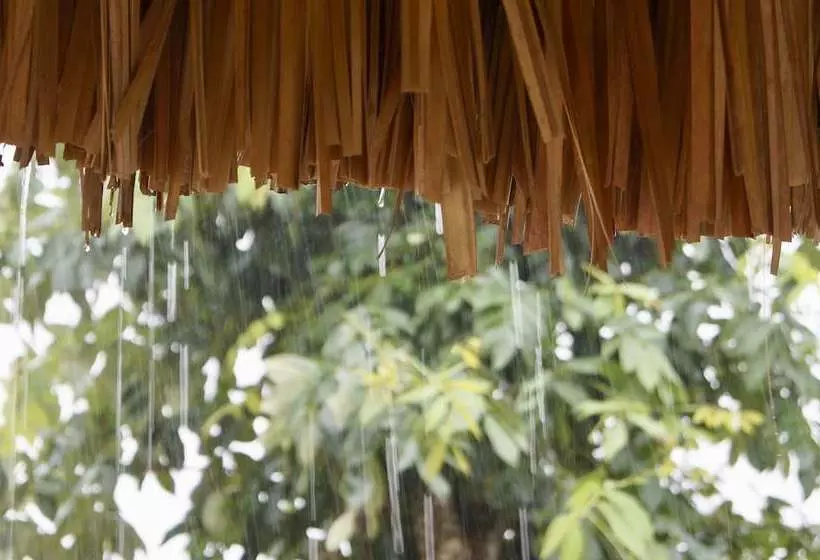 Cheleembalam Cabins