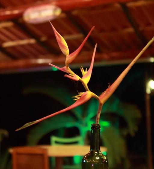 هتل Casa Cambutal