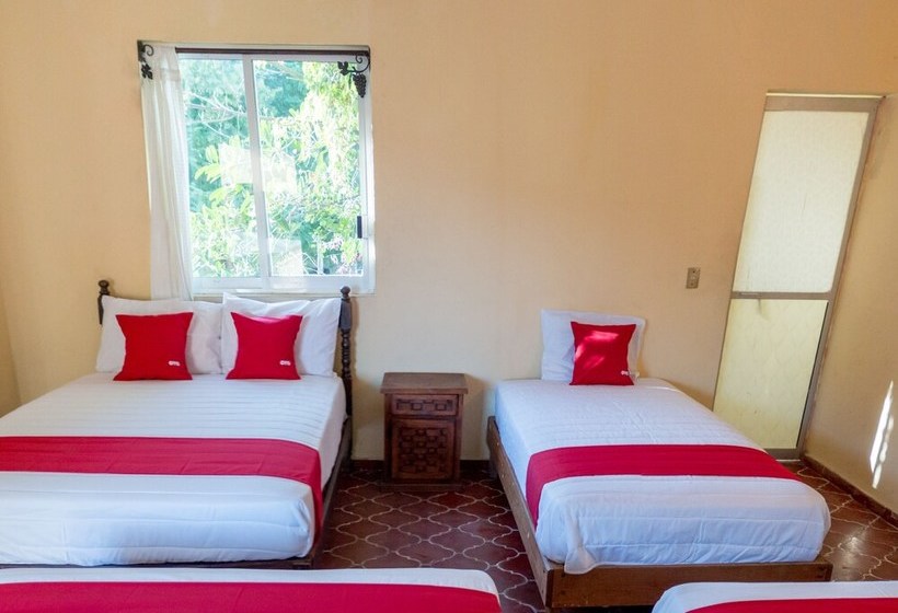 فندق Doña Juanita