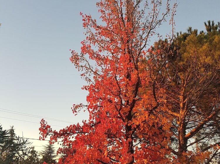 Пансион Villa Thebaide Chambres D Hotes