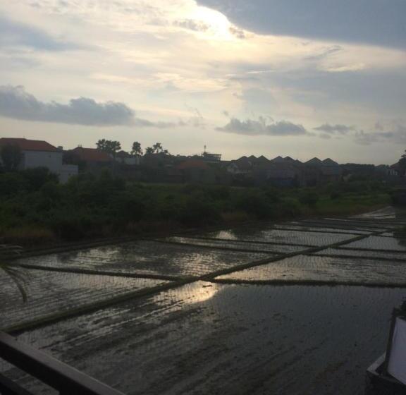 فندق Bali Full Moon Guest House