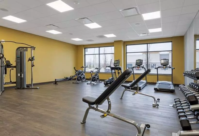 Cambria Hotel Detroit Shelby Township